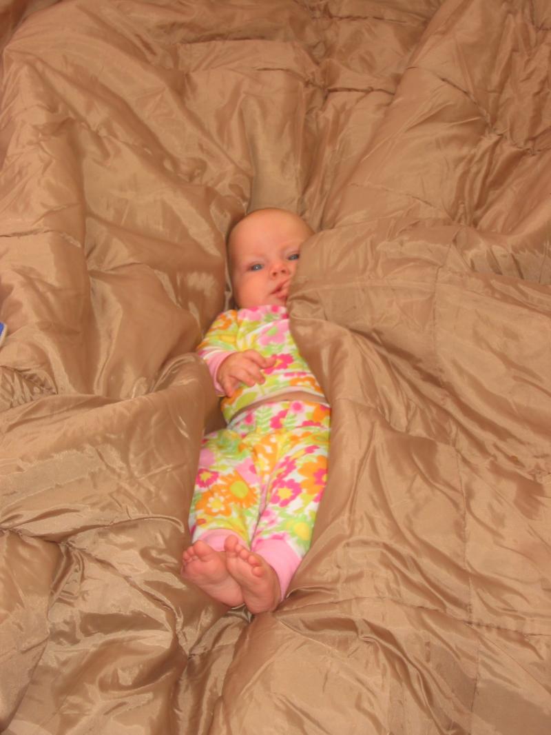 2004/10 Oct/800x600_IMG_1327.JPG
